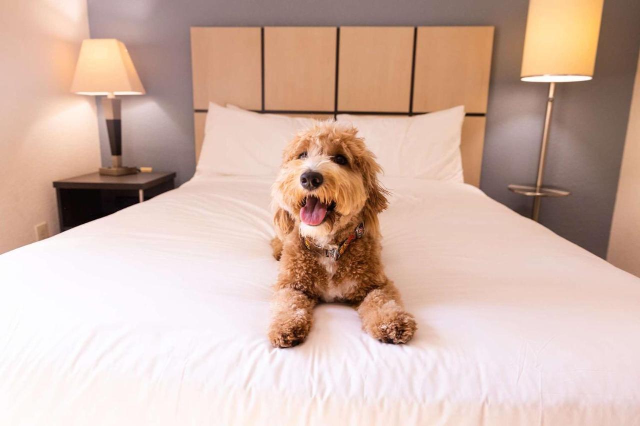 โซเนสตา ซิมพลี สวีท โอคลาโฮมา ซิตี้ แอร์พอร์ต Hotel โอคลาโฮมาซิตี้ ภายนอก รูปภาพ